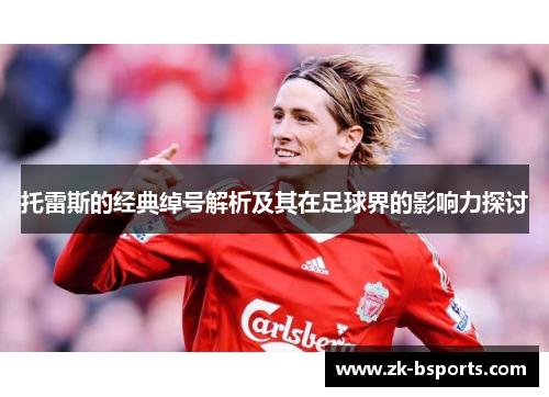 托雷斯的经典绰号解析及其在足球界的影响力探讨